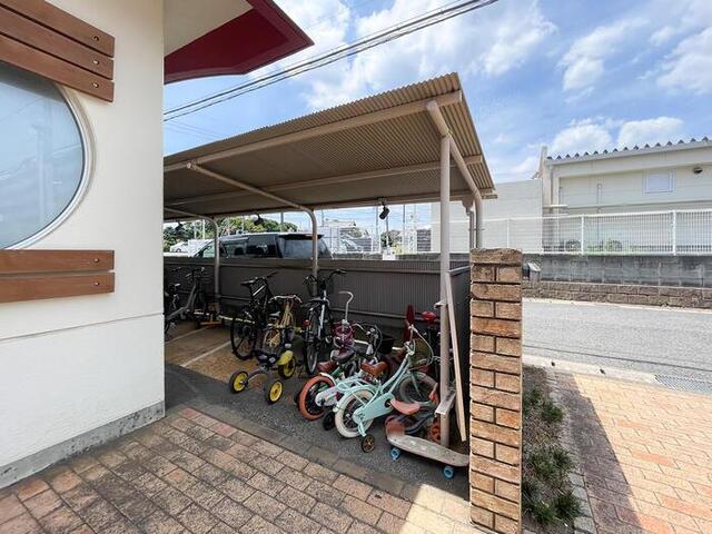 シャインクロコ（101） その他