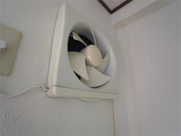 グリーンマンション 部屋画像