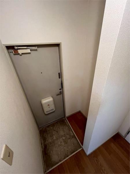 ネオハートβ その他