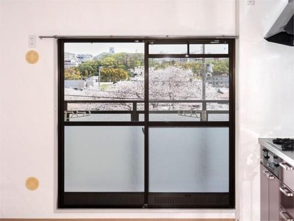 リバーグリーン藤村 その他部屋・スペース
