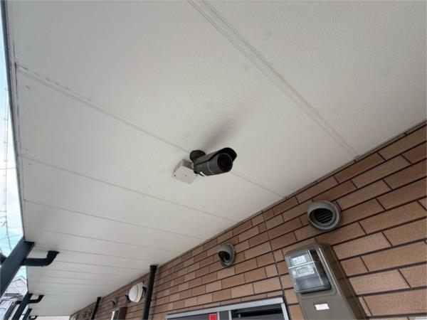 レオネクストトンノ その他