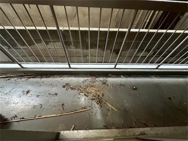 グリーンハイツ昆陽 部屋画像