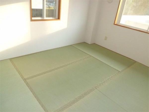 ハイツオリーブ その他