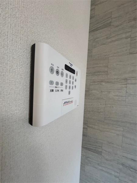 ヴェラ　ロホ その他
