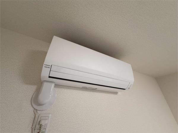 Cocoonia 部屋画像