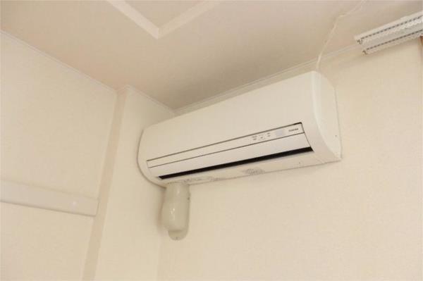 カサ　デ　セレーサ その他