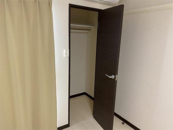 レオネクストミズキ 収納