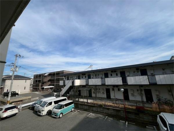 サイプレス その他