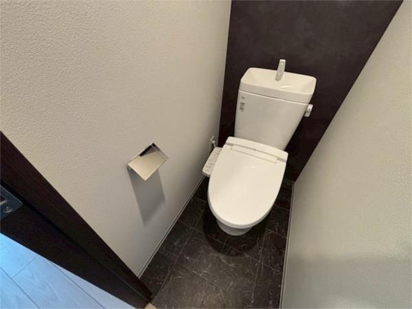 S-RESIDENCE大和田aline トイレ