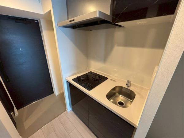S-RESIDENCE大和田aline その他