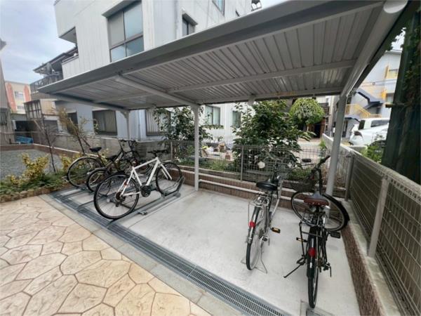 シャイン その他