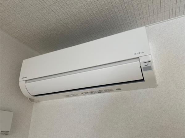 シャイン その他