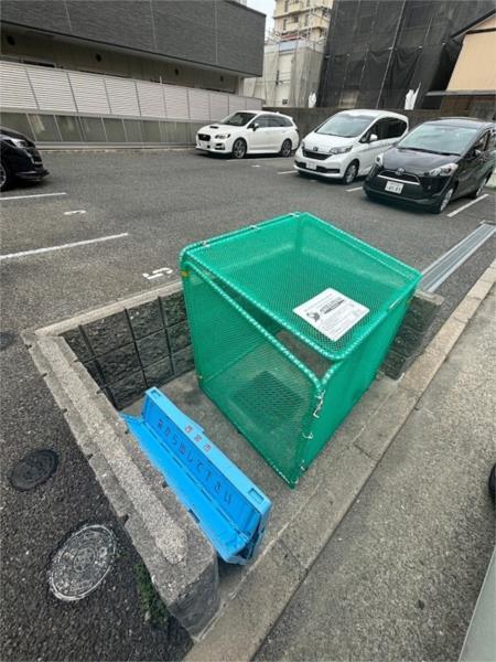 セリージャ デ トーア その他