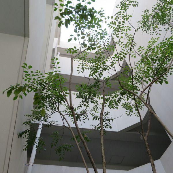ＣＲＹＳＴＡ荒牧 その他