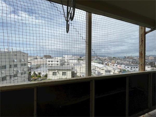 ビレッジハウス南清水タワー1号棟 その他