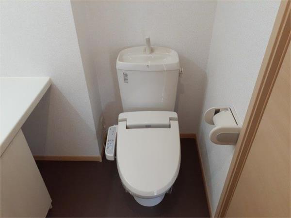 サニープレイスI トイレ
