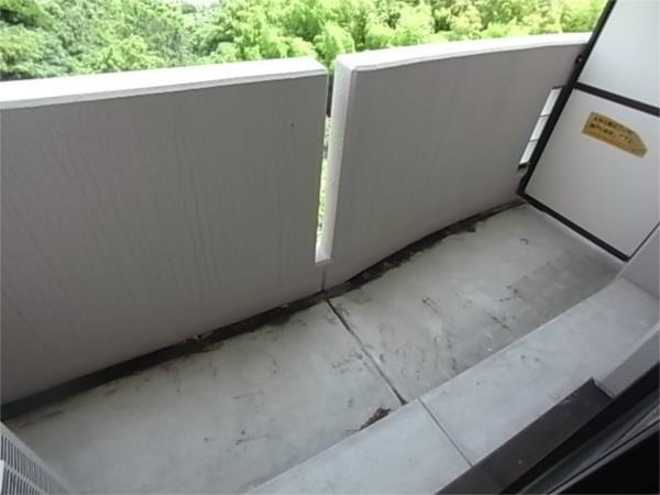 フォレストビュー 部屋画像