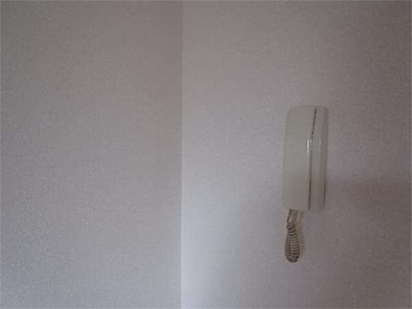 ラフィーネ二ッ屋 セキュリティ