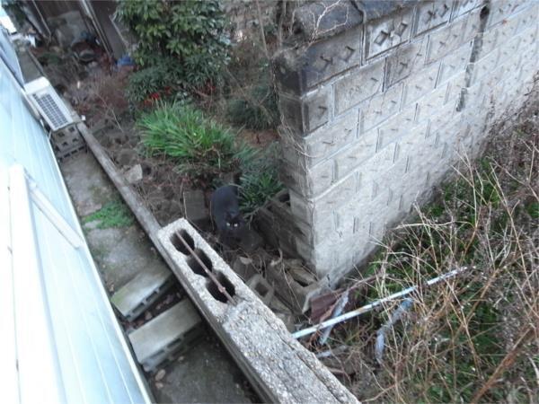 コーポセイゲツ東棟 部屋画像