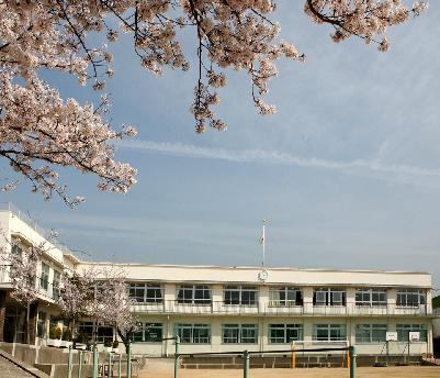 須磨浦小学校：377m
