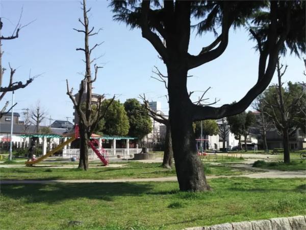 姫島公園：140m