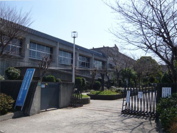 打出浜小学校：243m