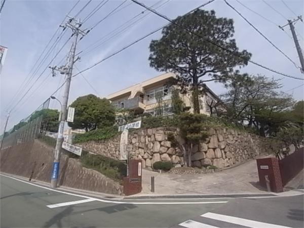 神戸市立御影北小学校：37m