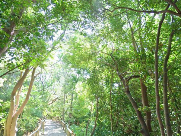 猪名川風致公園：457m