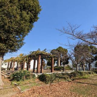 御幣島公園：213m
