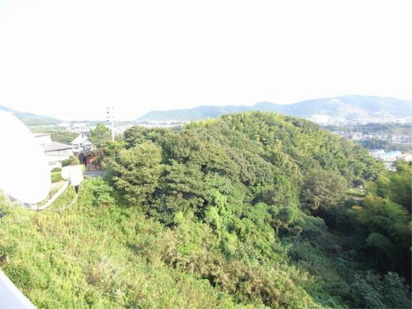 フォレストビュー 眺望