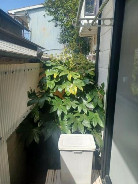 プチエミナールI 外観