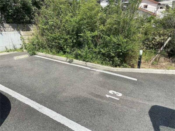 レオネクストミズキ 駐車場