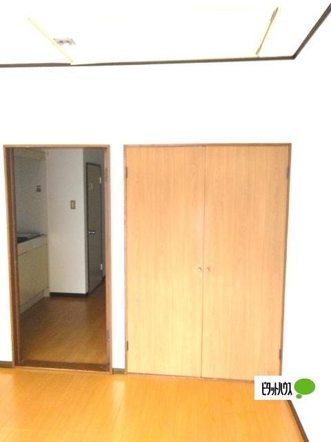スカイパレス大厩（205） 収納