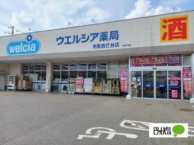ウエルシア市原辰巳台店：683m