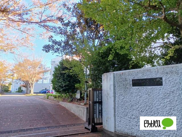 市原市立若宮小学校：1077m