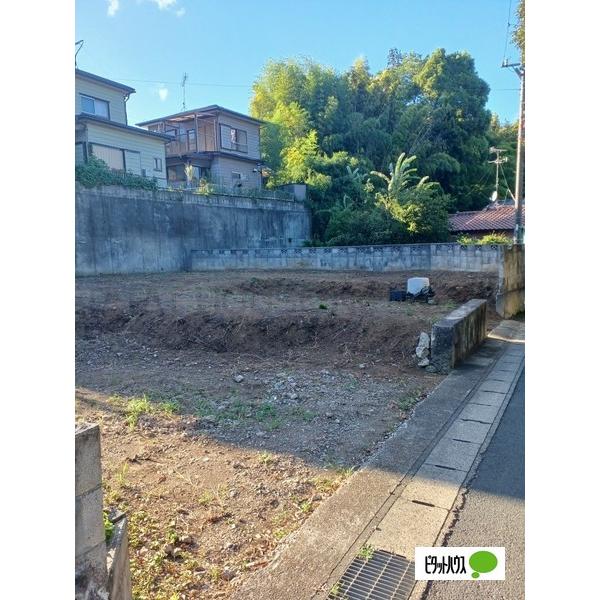 現地写真