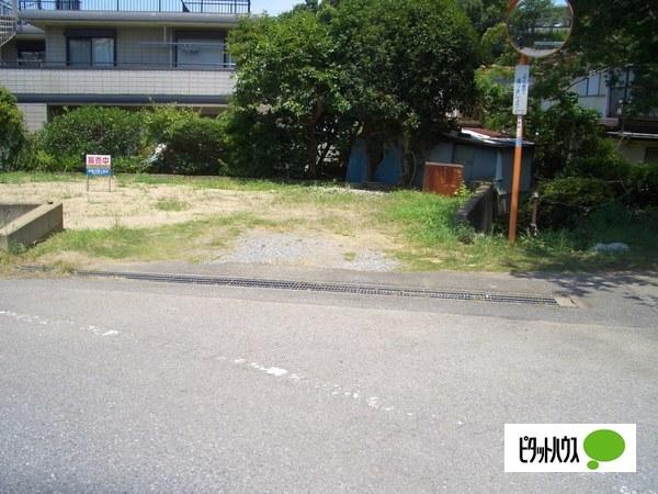 現地写真