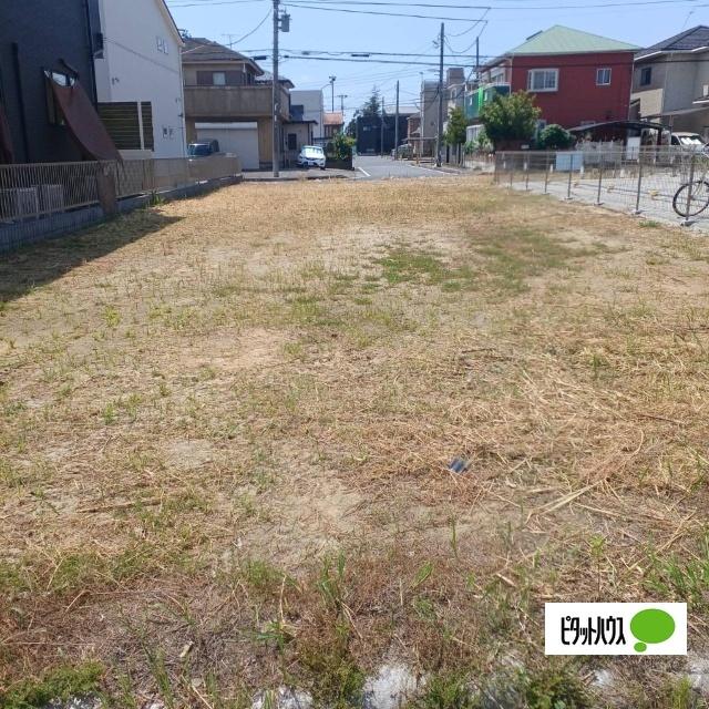 現地写真