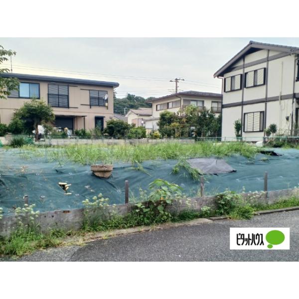 現地写真