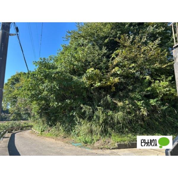 千葉県市原市能満