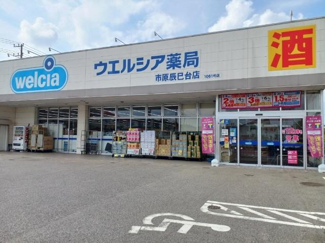 ウエルシア市原辰巳台店