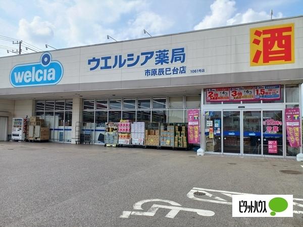 ドラックストア