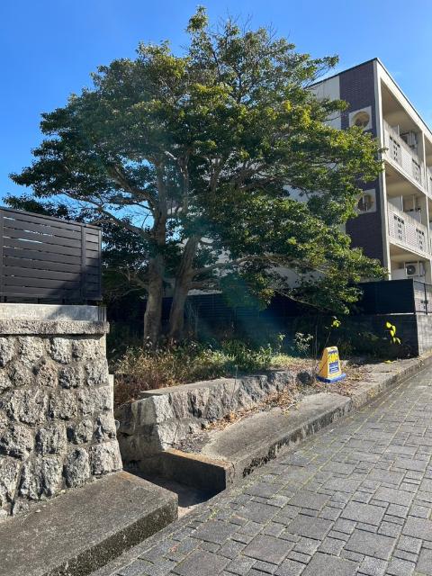 遊歩道
