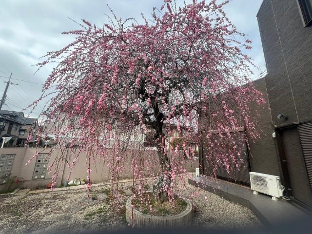 detached 氷室台１丁目