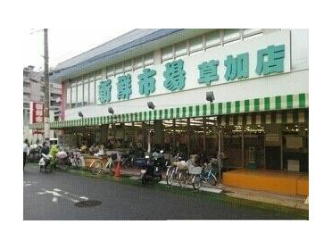 新鮮市場草加店：700m