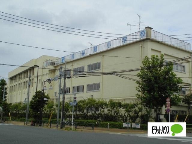 葛飾区立南綾瀬小学校：461m