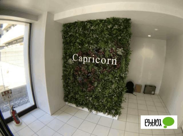 Capricorn ロビー