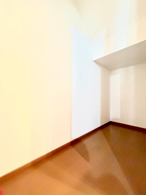 新三郷ららシティ中古戸建 収納