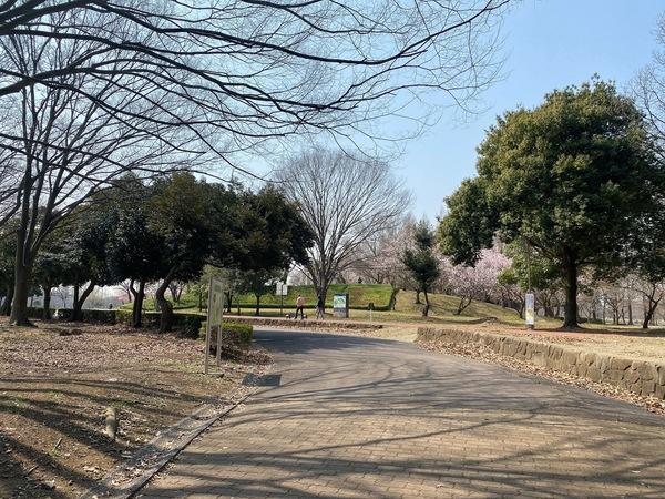 公園