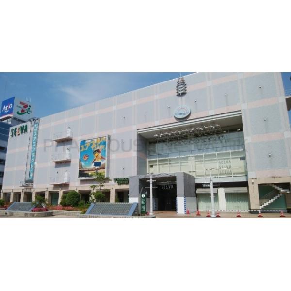 セルバテラス:869m